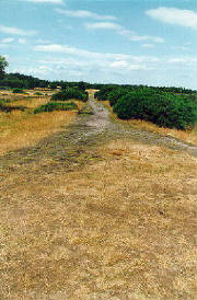 Roman road,  Sutton Park [click for larger image]